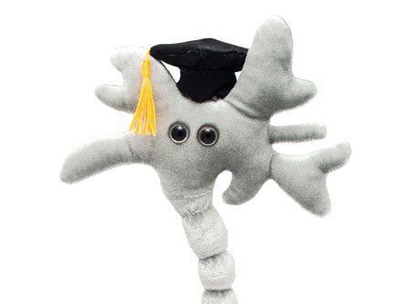 braincell grad close