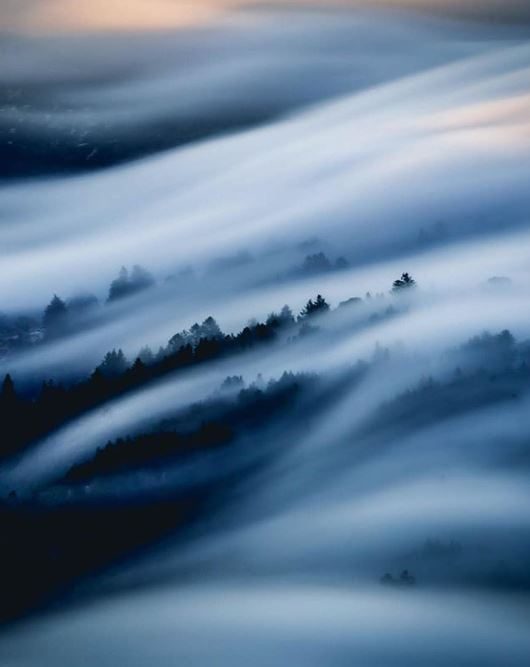 The exquisite photographic eye of 17-year-old Kelly Needleman 4 kelly needleman silky flow