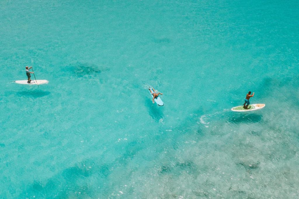 Ocean Activities to Try Out on a Family Vacation