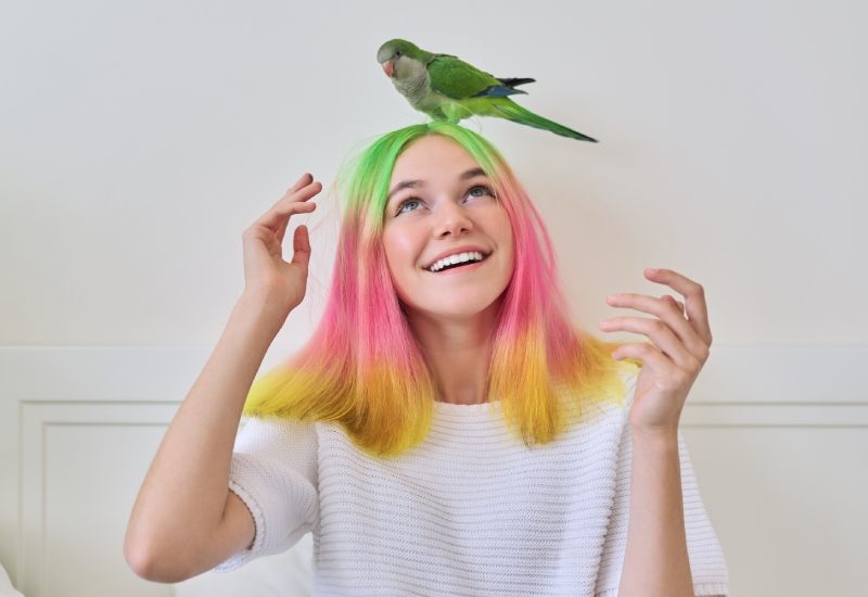 What To Know Before Getting a Pet Parrot 1 A teenage girl with hair dyed green, pink, and yellow grinning as a small green parrot perches on her head.