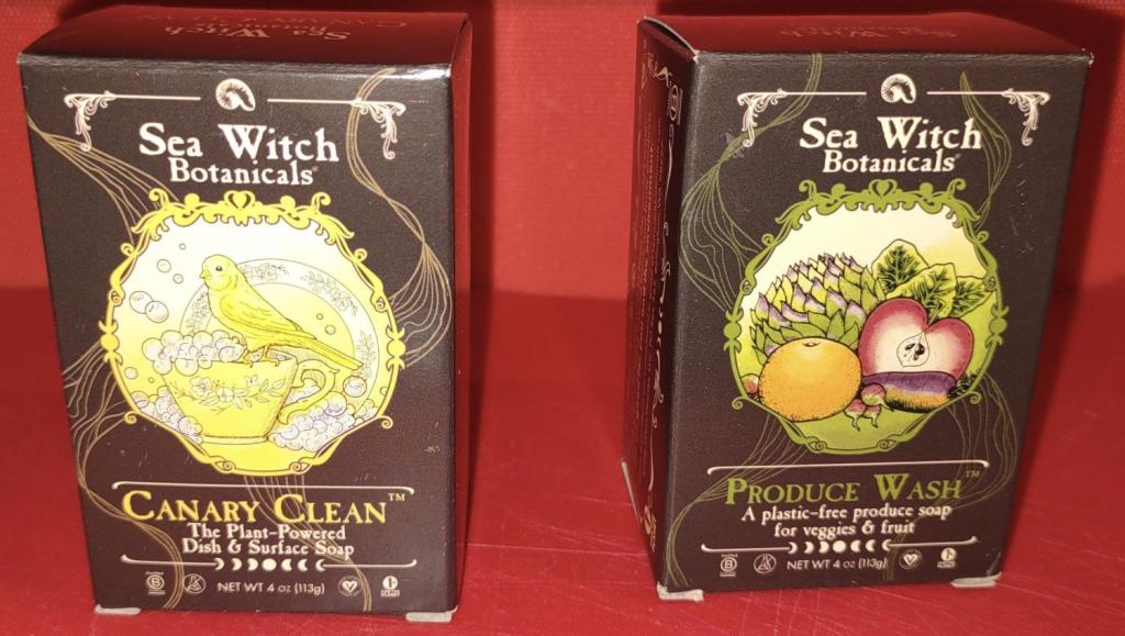 Back to School Product Guide 2023! 14 sea witch botanicals
